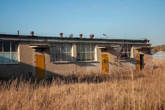 Abandoned old industrial glass greenhouse with dry dead plants and withered crops