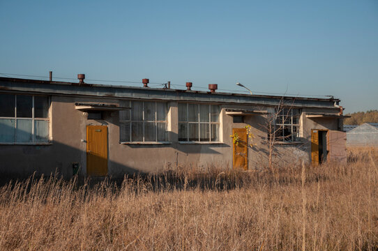 Abandoned old industrial glass greenhouse with dry dead plants and withered crops