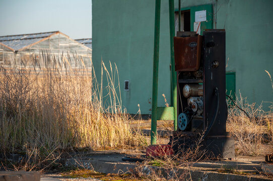 Abandoned old industrial glass greenhouse with dry dead plants and withered crops