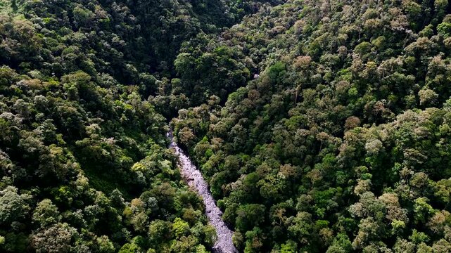 Aerial View of Rocky River Through Dense Tropical Rainforest in Ecuador, Green Mountain Valley, Whitewater Stream and Remote Andean Amazon Landscape