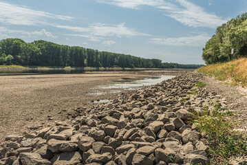 Obraz premium Dry riverbed of the Rhine River due to climate change and severe drought, Germersheim, Germany