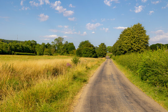 Summer landscape, The terrain of hilly countryside, Small road, path with grass and trees with sunlight in the evening, Gulpen-Wittem and region is a villages in Dutch province of Limburg, Netherlands