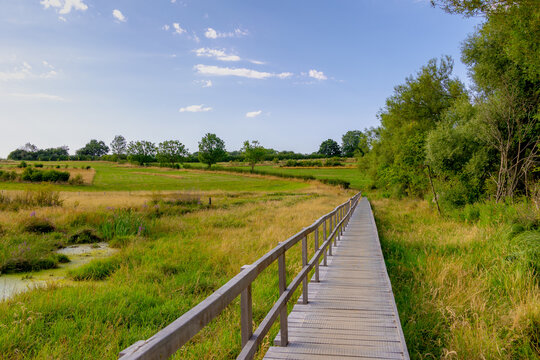 Summer landscape, The terrain of hilly countryside, Nature wooden boardwalk with lush green grass and tree on hillside, Gulpen-Wittem and region is a villages in Dutch province of Limburg, Netherlands
