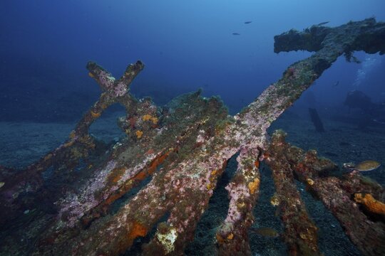 Parts of a rusted shipwreck lie on the seabed in clear water, dive site Wreck Michel C, Hy&egrave;res, Giens Peninsula, Mediterranean Sea, Provence Alpes C&ocirc;te d'Azur, France