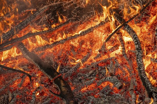 Charred branches and embers in an intense fire with flames, Finland