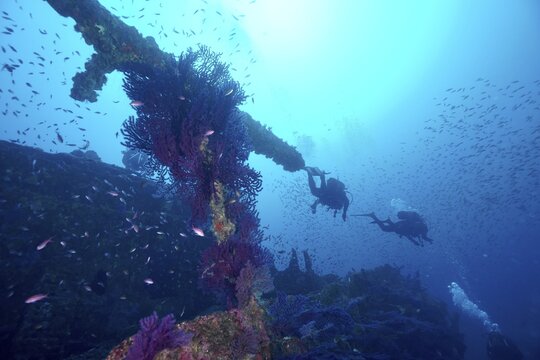 Two divers explore the remains of a shipwreck, surrounded by lots of small fish, including Mediterranean anthias (Anthias anthias), at the Le Grec wreck dive site, Hy&egrave;res, Giens Peninsula, Mediterranean Sea, Provence-Alpes-C&ocirc;te d'Azur, France