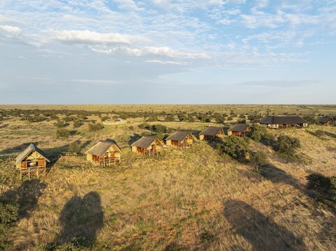 The Ta Shebube Rooiputs Lodge in the Kalahari Desert during the rainy season with green vegetation. The trees are camelthorn trees (Vachellia erioloba). Aerial view. Drone shot. Kgalagadi Transfrontier Park, Botswana