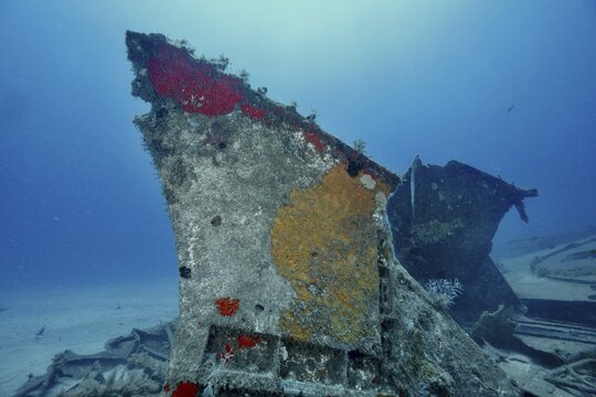 The remains of a rusted shipwreck at the bottom of the sea, decorated with sponges, meteor wreck dive site, Russian hydrofoil, Arguineguin, Gran Canaria, Spain, Europe, Atlantic