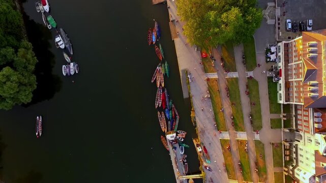 Top down aerial drone view of rowing boats moored on the River Thames at Richmond riverside with terraced lawns, promenade and people at golden hour, London, United Kingdom.