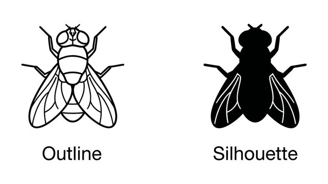 Fly Outline and Silhouette: Two depictions of a fly, one a detailed line drawing outline and the other a solid black silhouette, presented side-by-side for comparison.