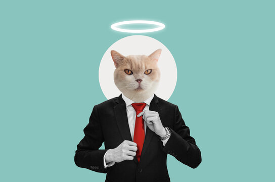 Digital collage modern art, Businessman with cute cat head, with halo