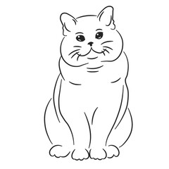 Fototapeta premium Sitting fluffy cat perfect for greeting cards, stationery, childrens books, and petrelated designs. Whimsical and versatile.