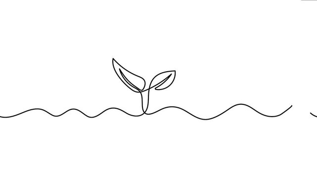 Continuous line drawing 4K animation video featuring a small plant sprout growing upward in minimal vector style