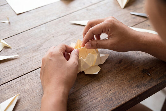 Hands folding cream paper origami lotus flower craft on wooden table
