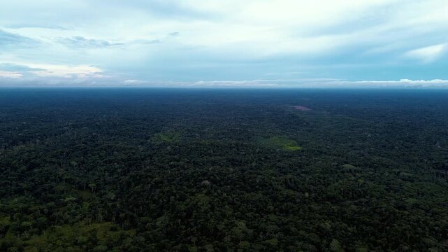 Wide Aerial View of Vast Tropical Rainforest Canopy in Ecuador, Dark Green Jungle, Distant River, Cloudy Horizon and Remote Amazon Wilderness Background