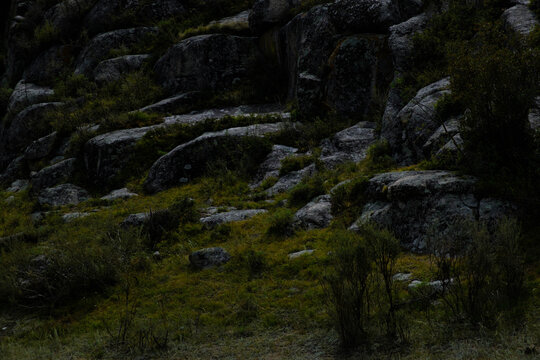A rocky hillside with a few trees and grass