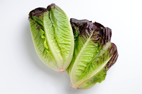 Red Gem Lettuce top view on white background