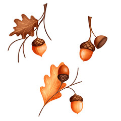 Illustration autumn branches with oak leaves and acorns. Autumn composition hand drawnon isolated background for packaging design label postcards holidays clothes dishes © Evgeniia