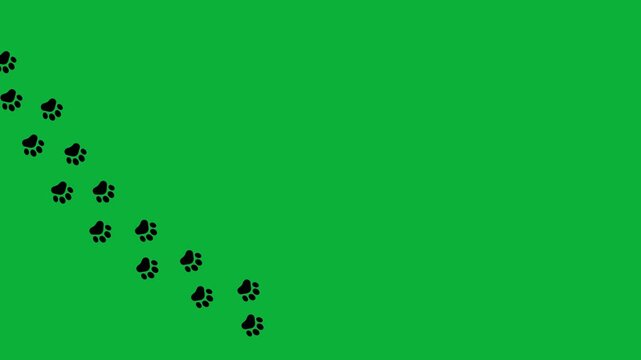 Animal paw prints. Comic funny paws along the path. Footprints walking animal on a trajectory of movement.