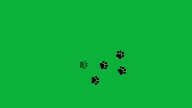 Animal paw prints. Comic funny paws along the path. Footprints walking animal on a trajectory of movement.