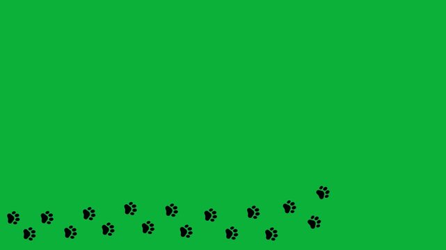 Animal paw prints. Comic funny paws along the path. Footprints walking animal on a trajectory of movement.