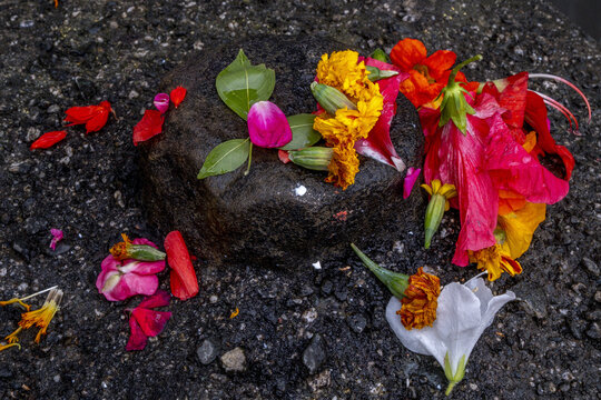 Floral offerings made up of petals and flowers arranged on a stone, as part of a Hindu ritual at the Baijnath Temple in Himachal Pradesh, India