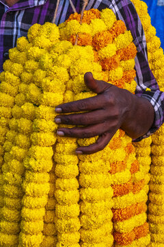 A vendor carries large garlands of yellow flowers through the bustling flower market in Kolkata, West Bengal, India