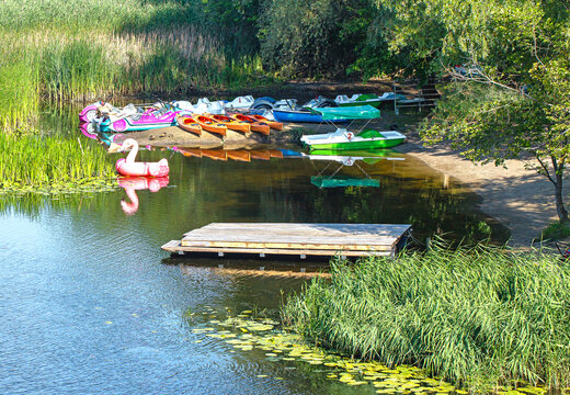 Colorful pedal boats, kayaks, and a pink flamingo float rest beside a small dock on a calm lake bordered by reeds, trees, and lily pads in summer sunlight