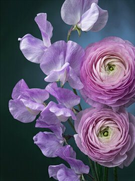 Sweet Peas and Ranunculus Bouquet

