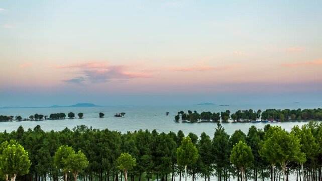 Hefei Chaohu Lake Sunset Glow Wetland Forest Timelapse