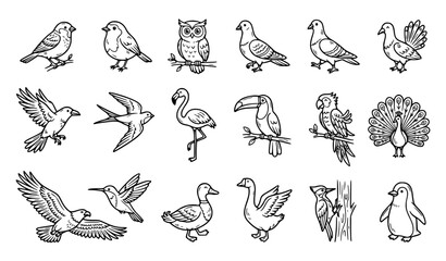 Obraz premium Bird Icon Set with Owl, Sparrow, Toucan, Peacock, Flamingo, and Wild Bird Species in Hand Drawn Outline Style for Nature Designs
