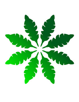 Green radial leaf symbol with eight elongated leaves forming a symmetrical botanical flower pattern on white