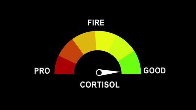 Cortisol level gauge meter animation: stress management and health monitoring concept hormone