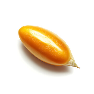 A realistic close-up macro photo of a single golden yellow kernel of corn (dent corn or sweet corn).