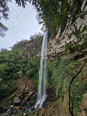 Majestic waterfall cascading down a rugged cliff face in a lush Brazilian forest © Diego