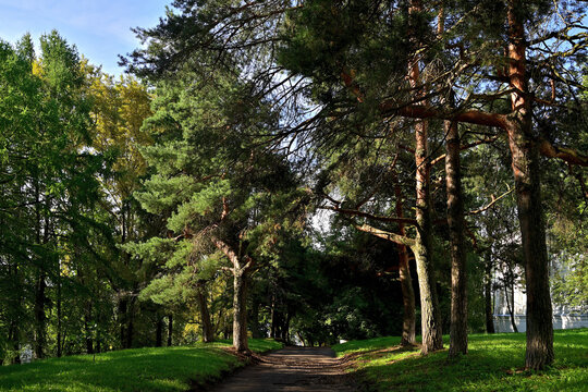 The path leading to A. N. Ostrovsky's monastery on the banks of the Volga.