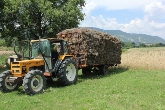 Tracteur et la moisson de lavandes