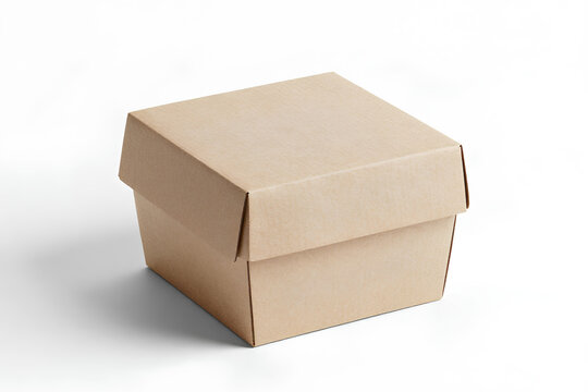 176  Kraft box packaging eco friendly product mockup minimal