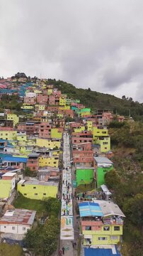Bogot&aacute; el codito