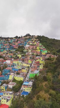 Bogot&aacute; el codito