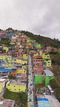 Bogot&aacute; el codito