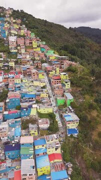 Bogot&aacute; el codito