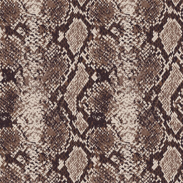 Close-up view of brown and beige snake skin pattern texture with intricate scale details and natural lighting