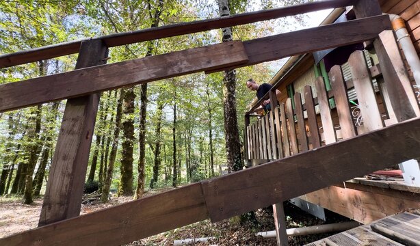 man working on a wooden deck in a forested area, focused and productive above the painted fence, brown and green tones, natural light, clean background, copy space for construction and diy.