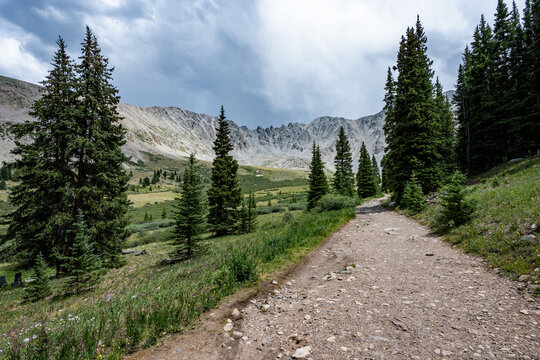 View of alpine meadows and evergreen forest from Mayflower Gulch Trail near Copper Mountain, Colorado under summer afternoon cloudscape.