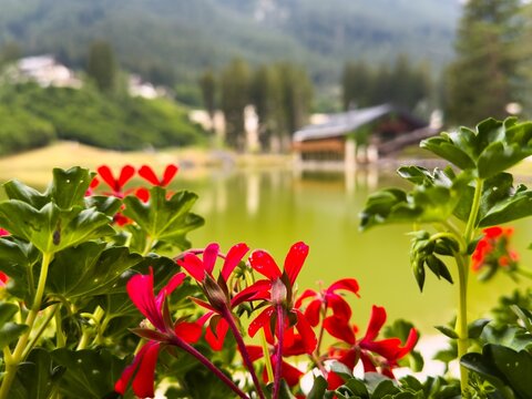 Lake San Vito di Cadore, lake Mosigo in Boite valley in the domain of Mount Antelao. Italian Dolomites Alps Scenery, Italy, Europe. 