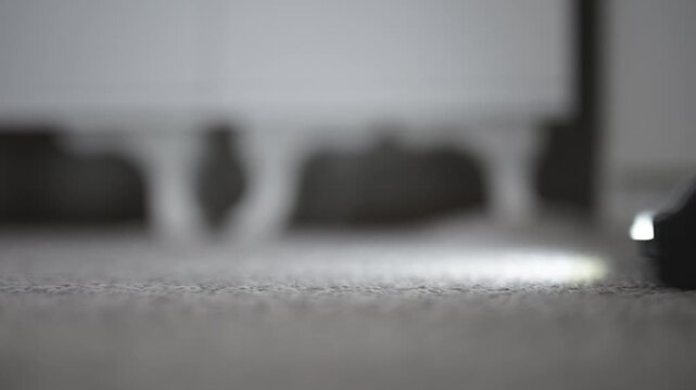 vacuum cleaner cleaning and refreshing carpet texture in a modern home