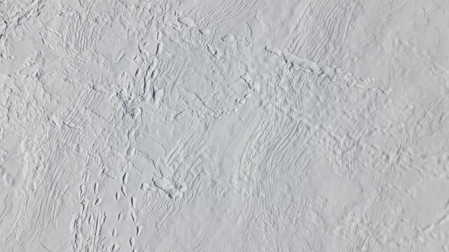 Snowy landscapes reveal a tapestry of animal tracks in the pristine winter wonderland