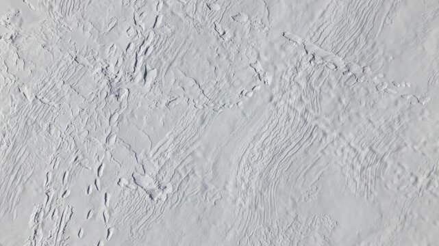 Winter magic unfolds on a snowy landscape with playful animal tracks creating a story just waiting to be discovered
