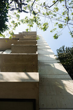 Modern Architectural Facade with Geometric Lines, Concrete Walls, and Tree Shadows